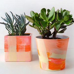 diy_pots-gallery