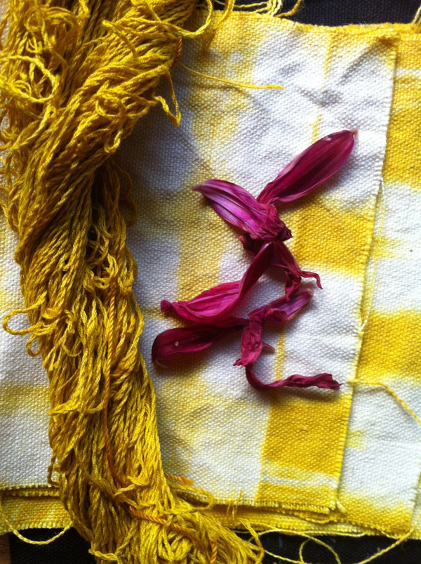 Ellie Beck naturally dyed fabric