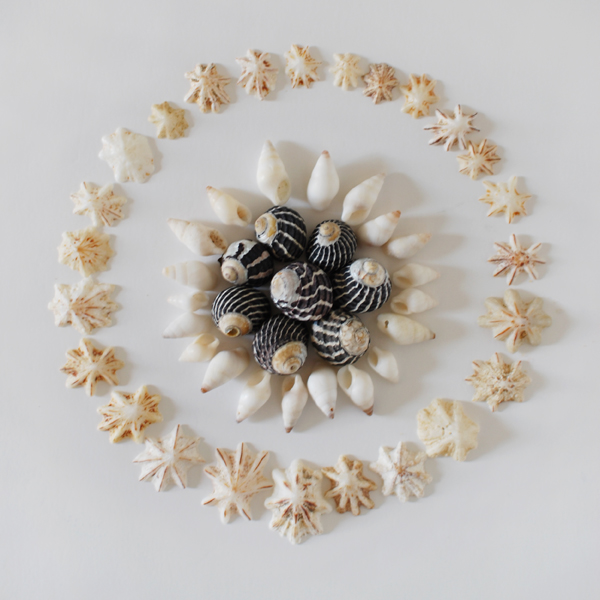 the red thread shell mandala