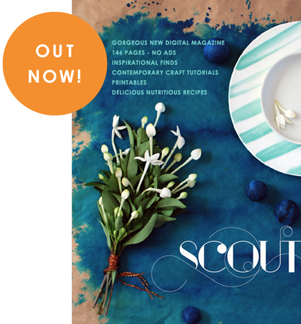 SCOUT digital magazine by Lisa Tilse