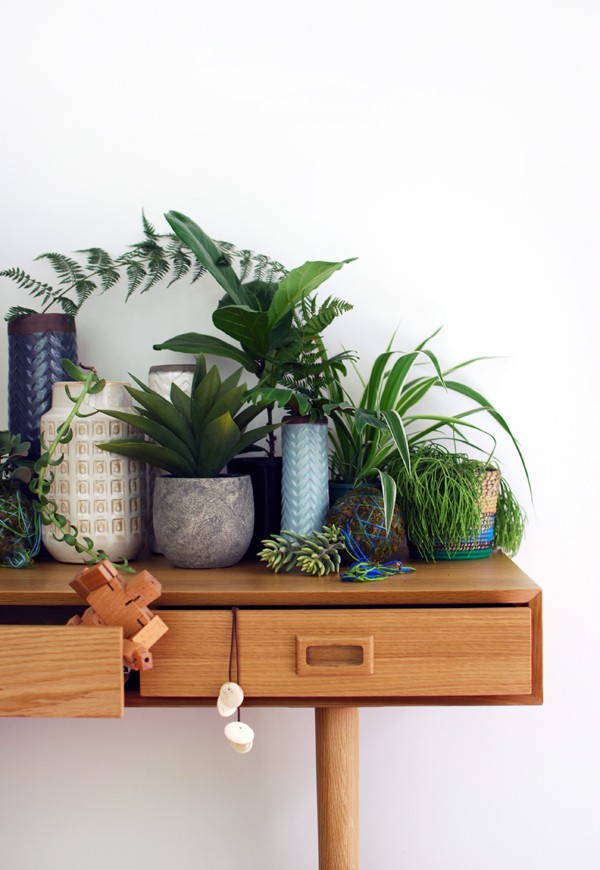 Freedom_hall_console_plants_via_we-are-scout.com