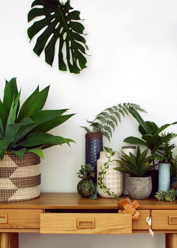 Freedom_indoor_plants_via_we-are-scout.com