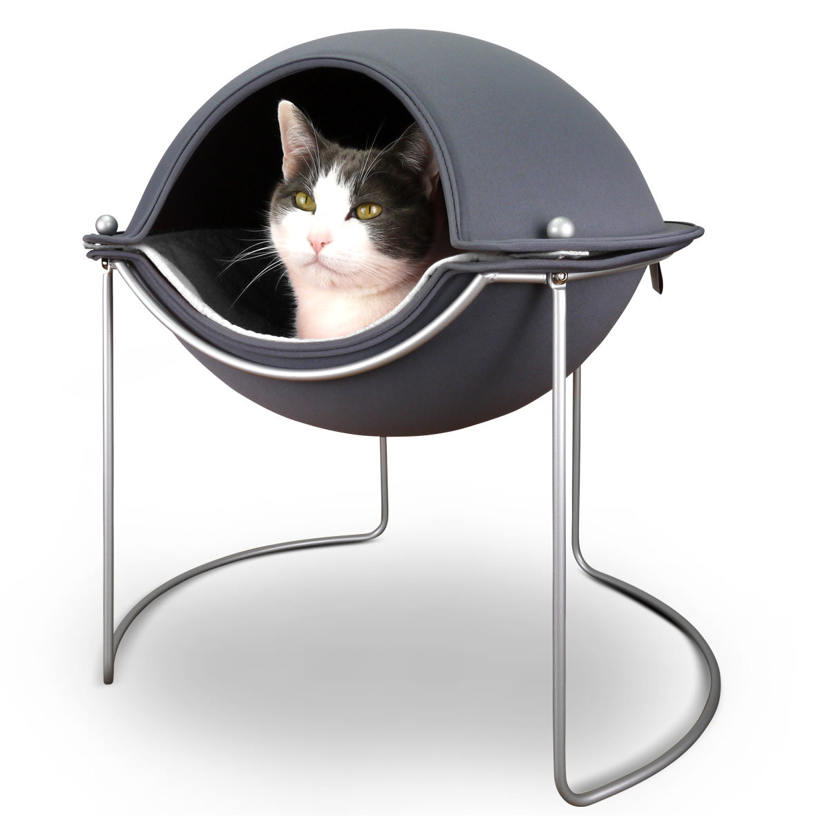 Hepper cat hotsell