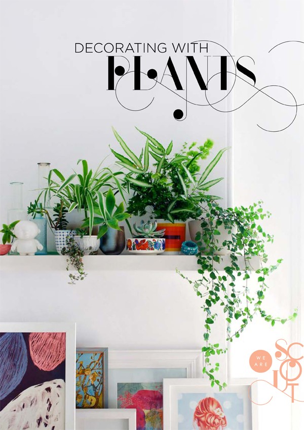 WeAreScout_DECORATINGwithPLANTS_cover