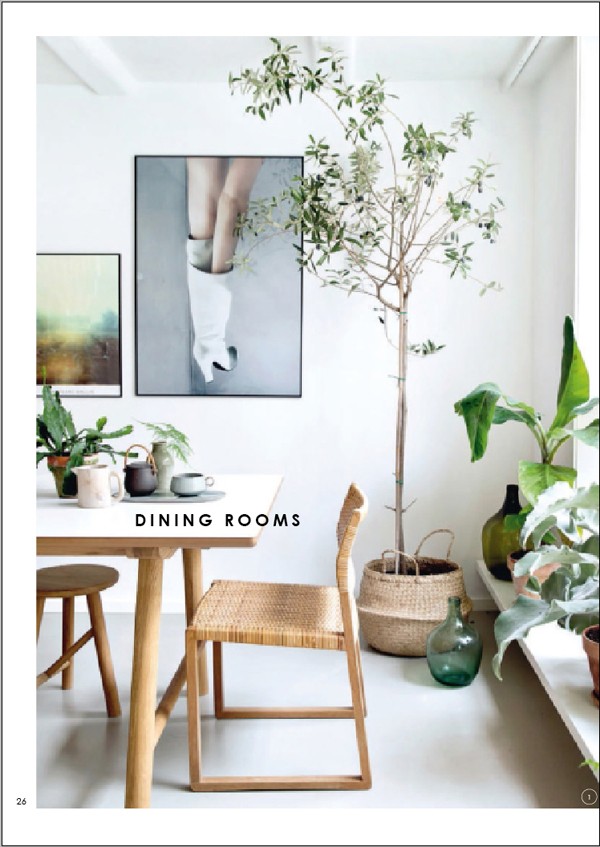 WeAreScout_DECORATINGwithPLANTS_dining