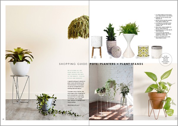 WeAreScout_DECORATINGwithPLANTS_guide