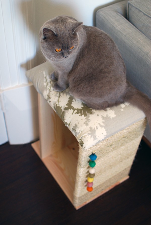 diy corner cat scratcher