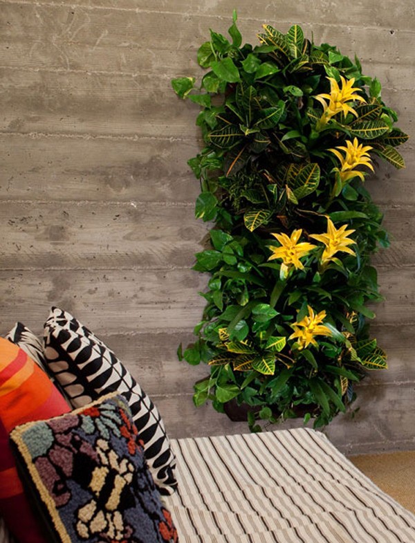 SCOUTED: living wall planters from Woollypocket