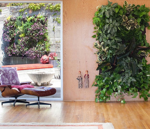 SCOUTED: living wall planters from Woollypocket