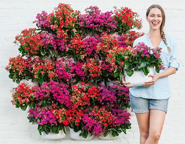 SCOUTED: living wall planters from Woollypocket