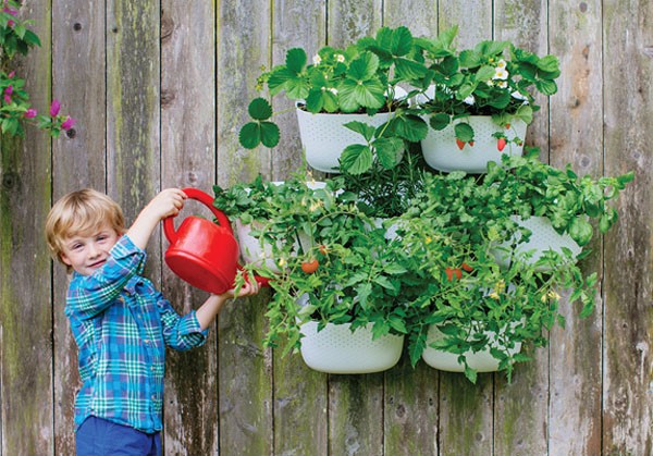 SCOUTED: living wall planters from Woollypocket