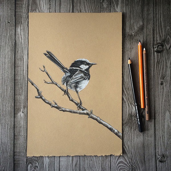 Alex Louisa - Charcoal Wren