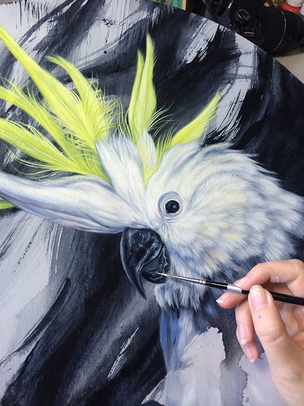 Alex Louisa WIP Cockatoo