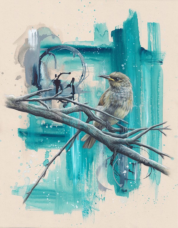 Brown Honeyeater. Alex Louisa - hyper realistic art