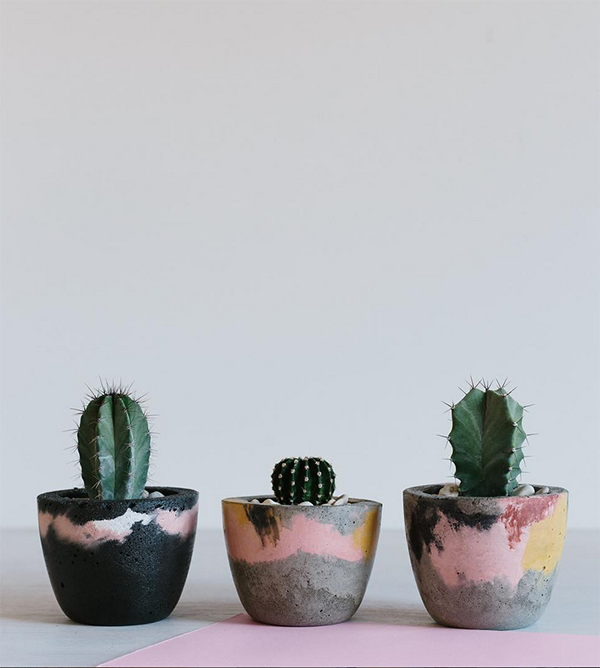 Fox and Ramona cactus planters. 