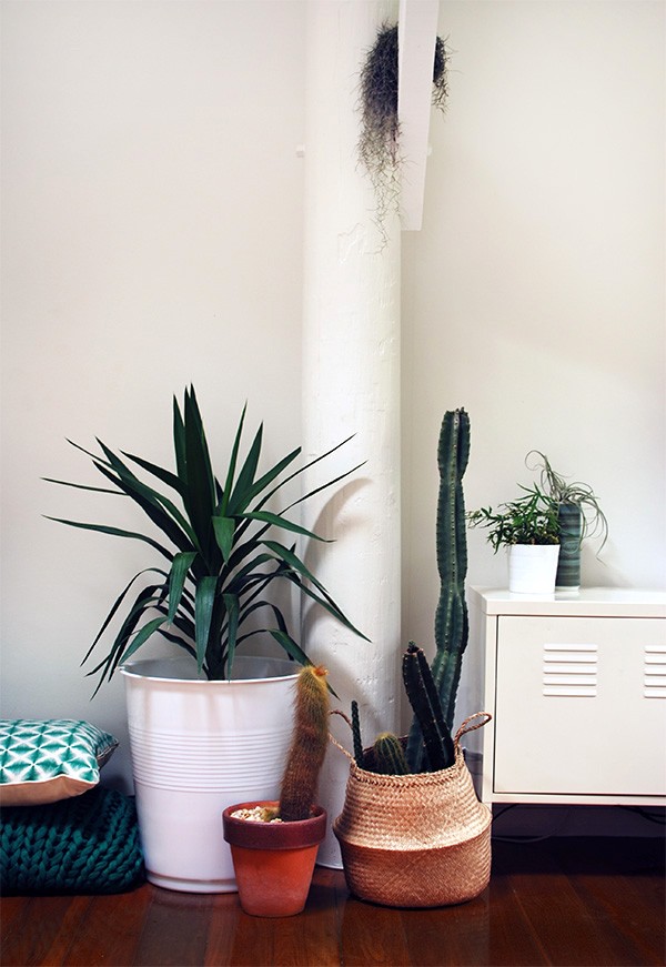 Mod planter! 5 clever ways with Target Australia's $12 giant plastic cup stool. 