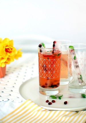 How to make fruity ice cube sticks + 2 delicious drink recipesfor Christmas entertaining.