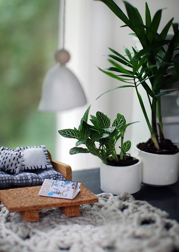 Live miniature plants in our Scandi summer house-style doll house makeover. Photos by Lisa Tilse for We Are Scout.