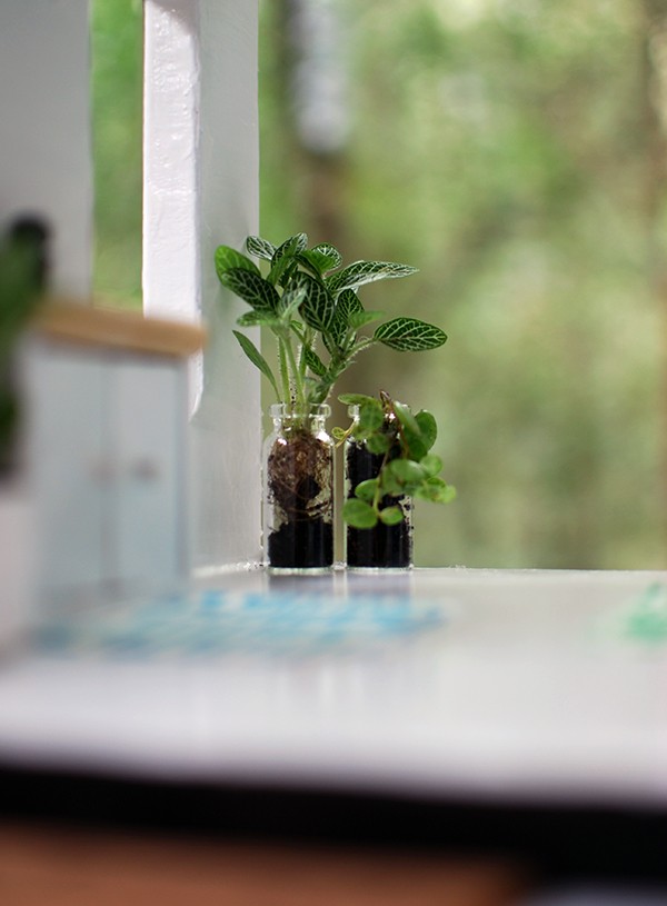  Live miniature plants in our Scandi summer house-style doll house makeover. Photos by Lisa Tilse for We Are Scout.
