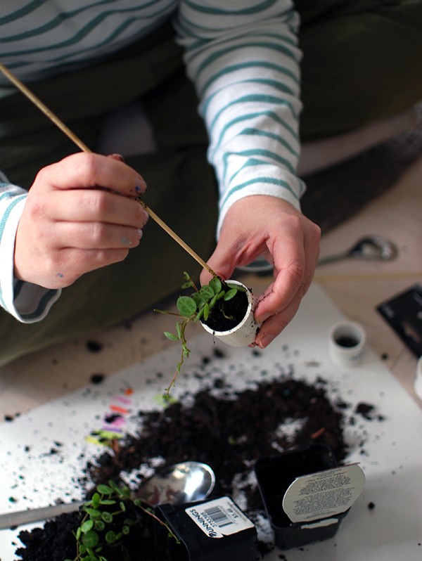 Filling a plastic end cap with potting mix and a terrarium plant. Skewers and spoons come in handy here! Scandi summer house-style doll house makeover. Photos by Lisa Tilse for We Are Scout.