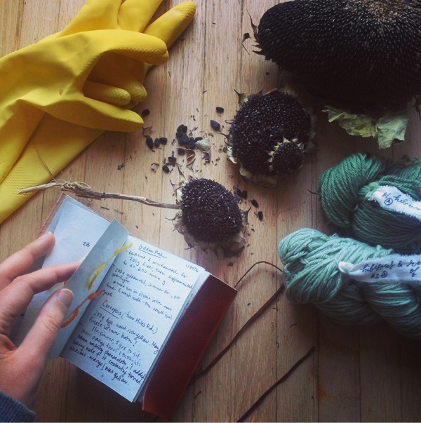 Natural dye- Studio tour and interview with Vanessa aka pidge pidge.