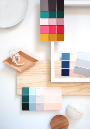 How to choose the right colour and get the walls of your home painted.