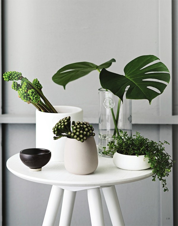 Zakkia homewares - Scandi meets Bondi