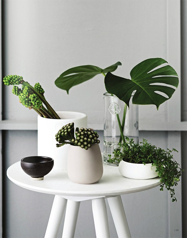 Zakkia homewares - Scandi meets Bondi