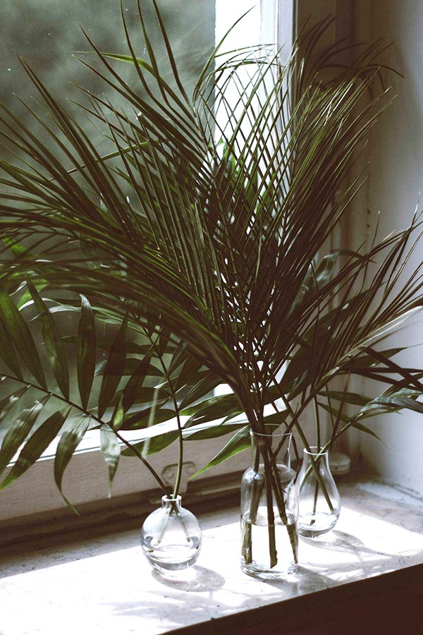 Foliage is the new floral.