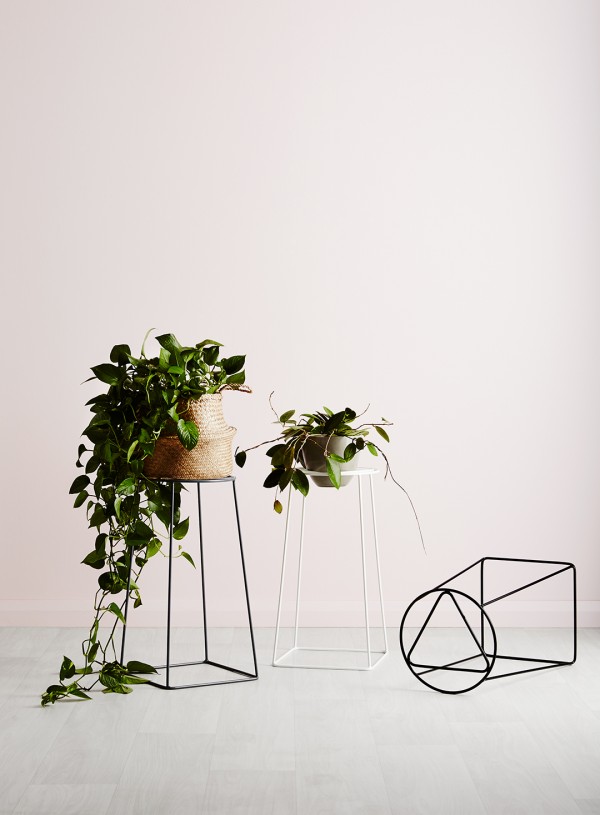 Ivy Muse - new collection of planters and plant stands: 'Homebody' collection