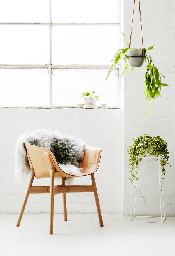 Indoor planters and stands by Ivy Muse, Melbourne, Australia