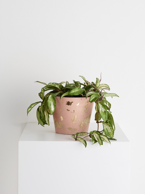 Capra Designs eco water-based resin planter in peach and gold.