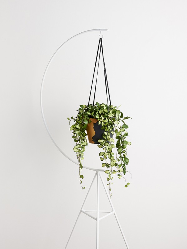 Capra Designs Crescent Plant Stand and hanging pot, finished with black leather.