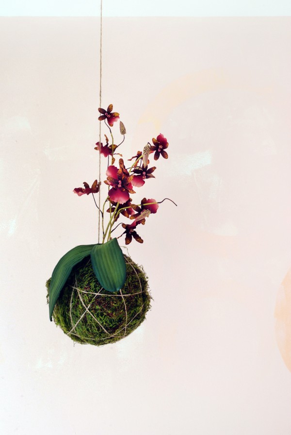 DIY - How to make faux hanging string plants or kokedama