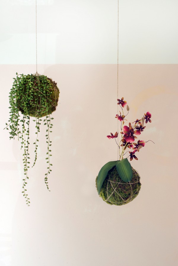 DIY hanging string garden