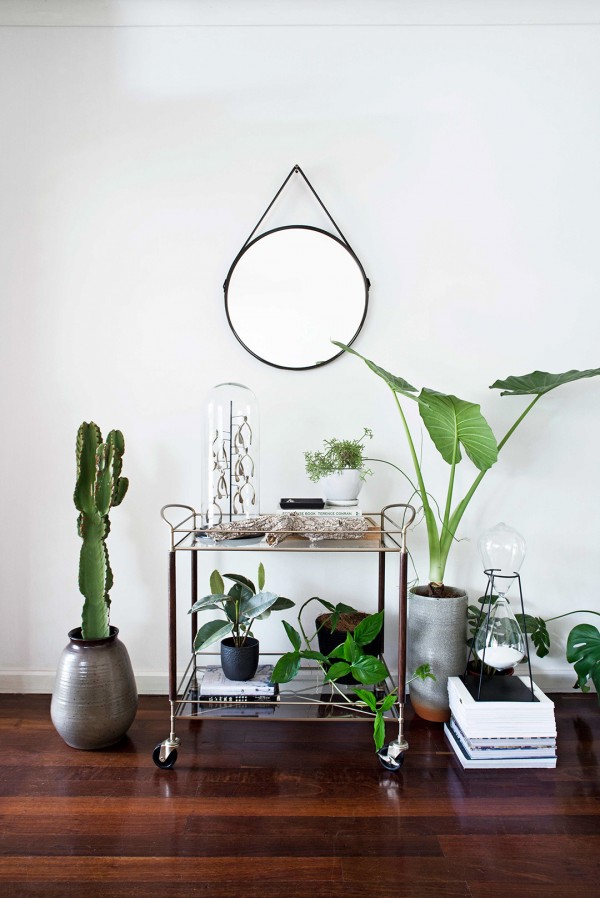 Bar cart styled and photo by Meghan Plowman