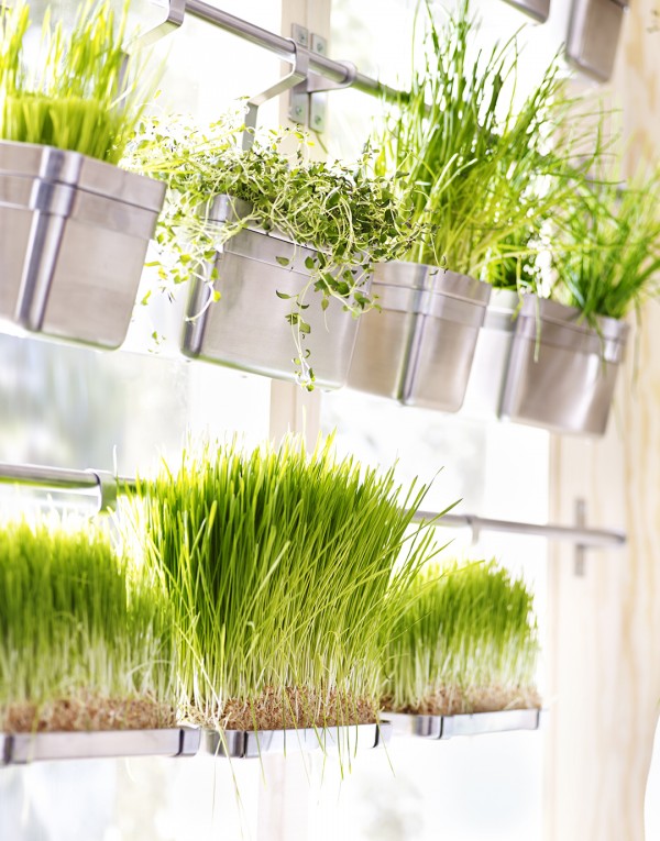 Vertical kitchen herb garden