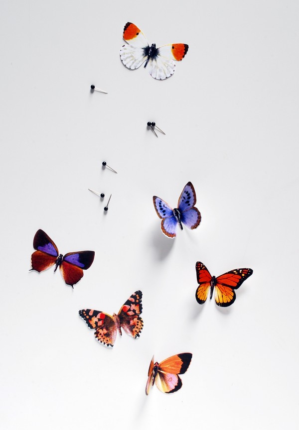 Free butterfly printable