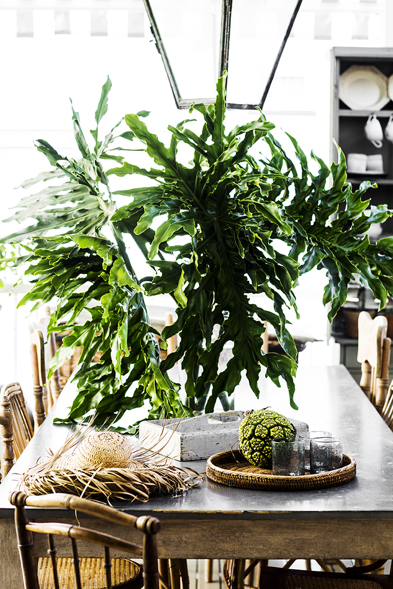 The home of Australian stylist and photographer Kara Rosenlund