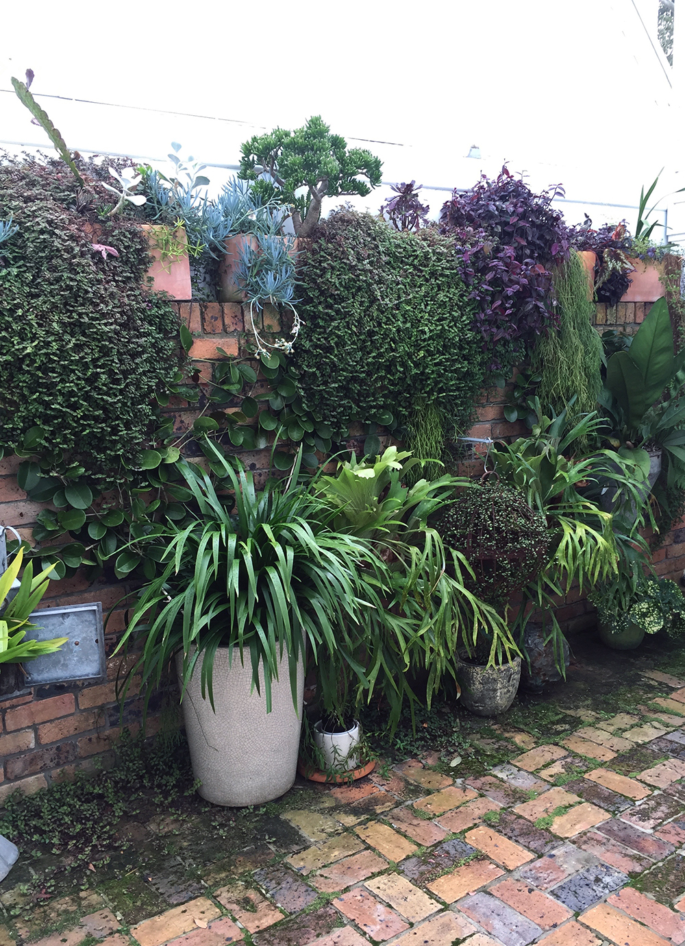 Leafy courtyard