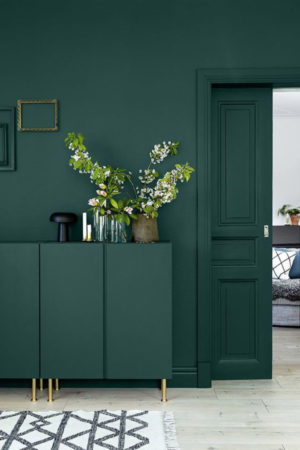 Embracing the green interiors trend.
