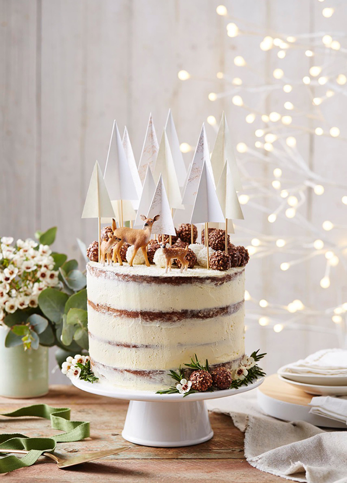 Fun and lovely christmas cake idea. Photo: Benito Martin.