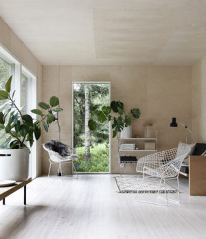 Scandinavian summer house with birch plywood interior