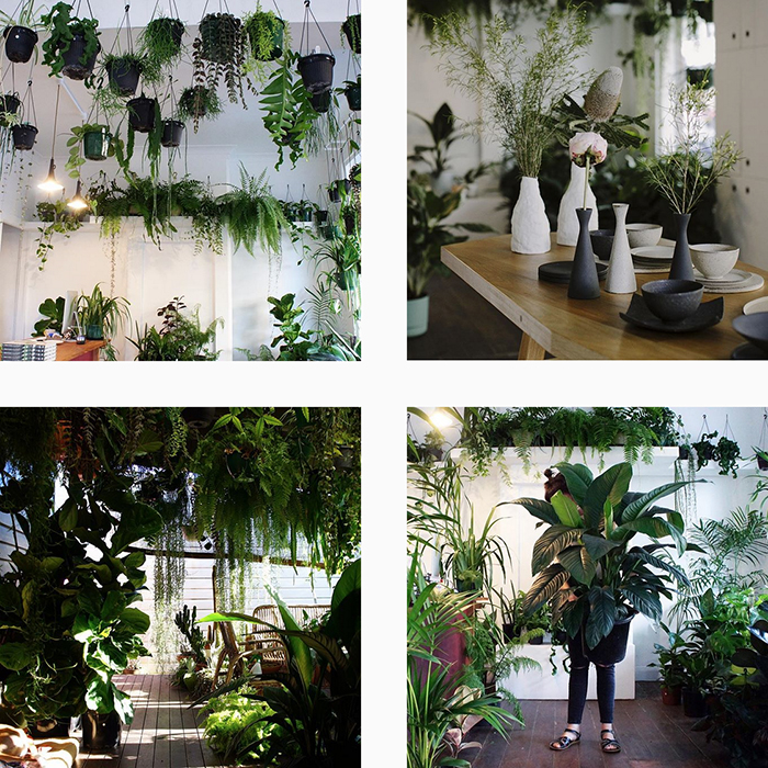 The best plant shops in Aus