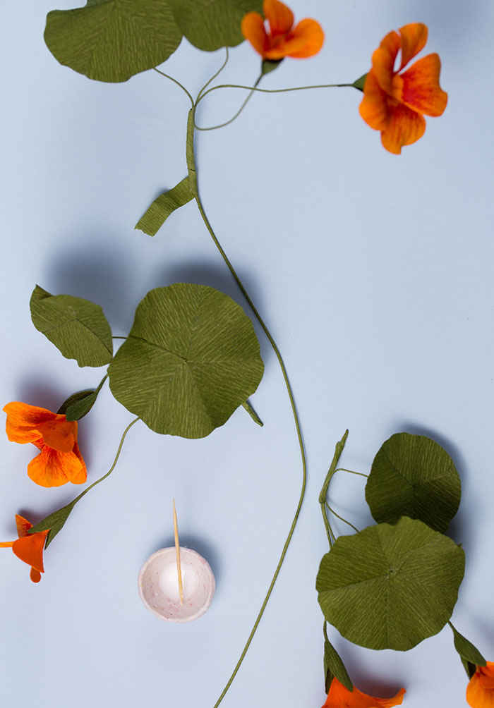 How to make paper flowers with Jennifer Tran of papetal