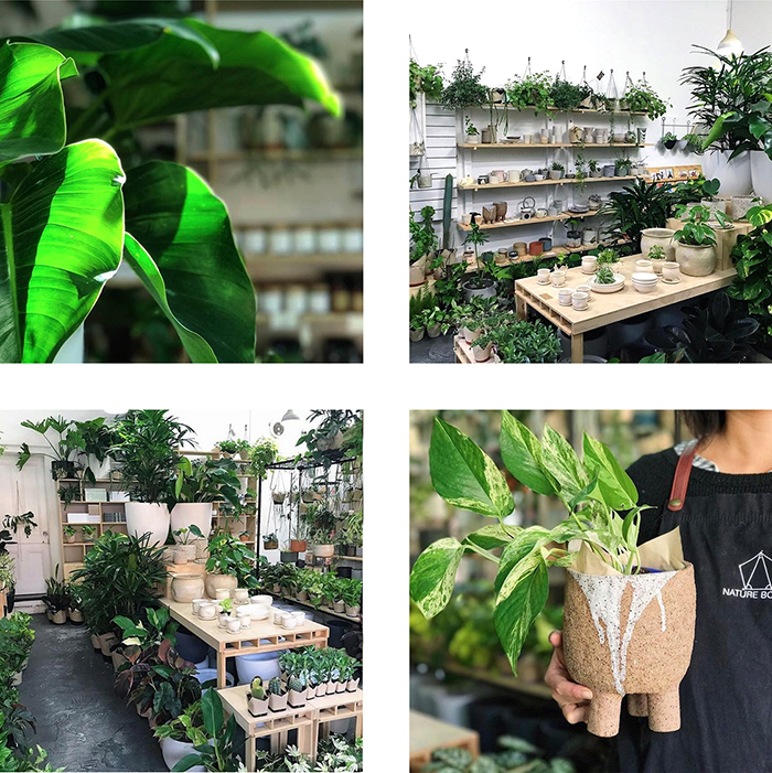 est plant shops round up - Nature Boy Nrth