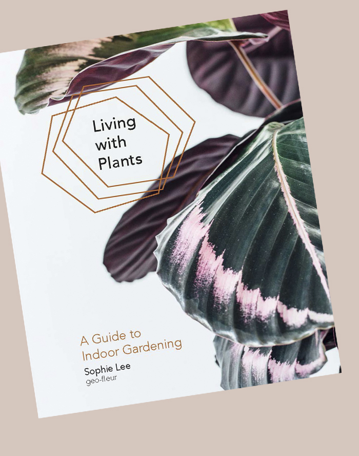 living-with-plants-book