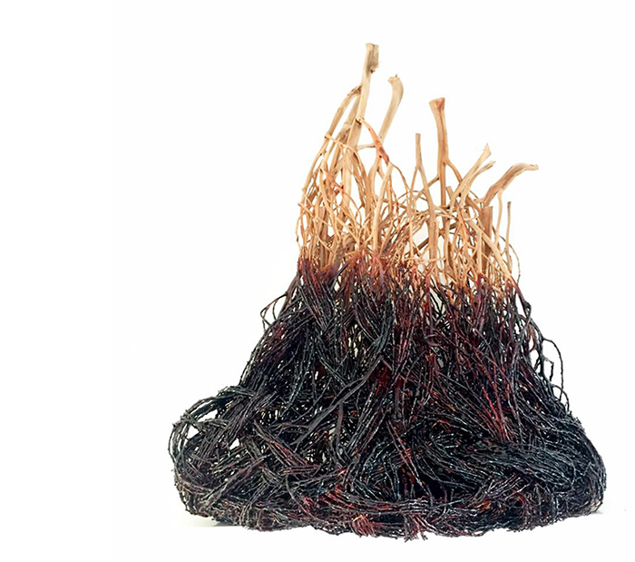 Catriona Pollard contemporary basketry