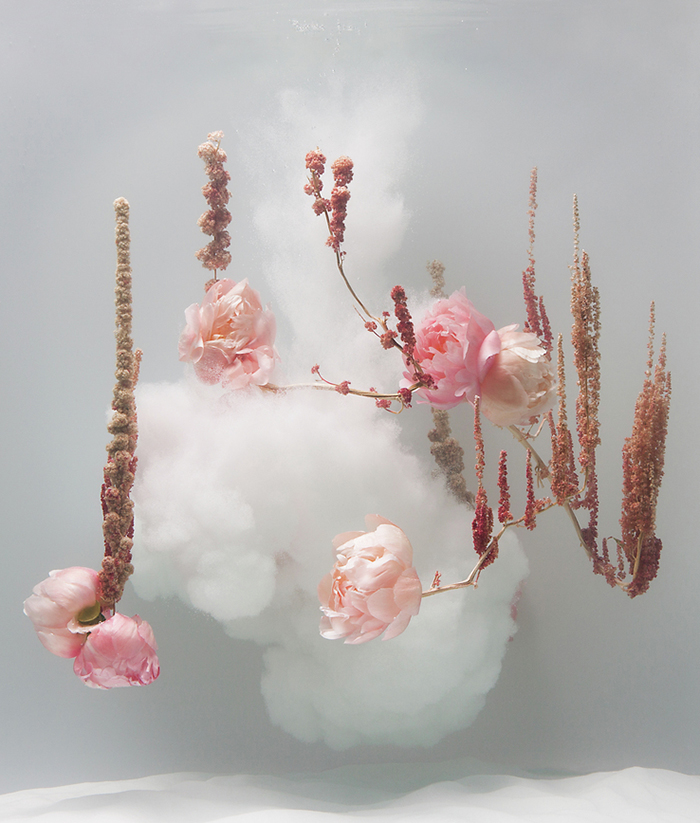 Anne Ten Donkelaar - flowers suspended underwater