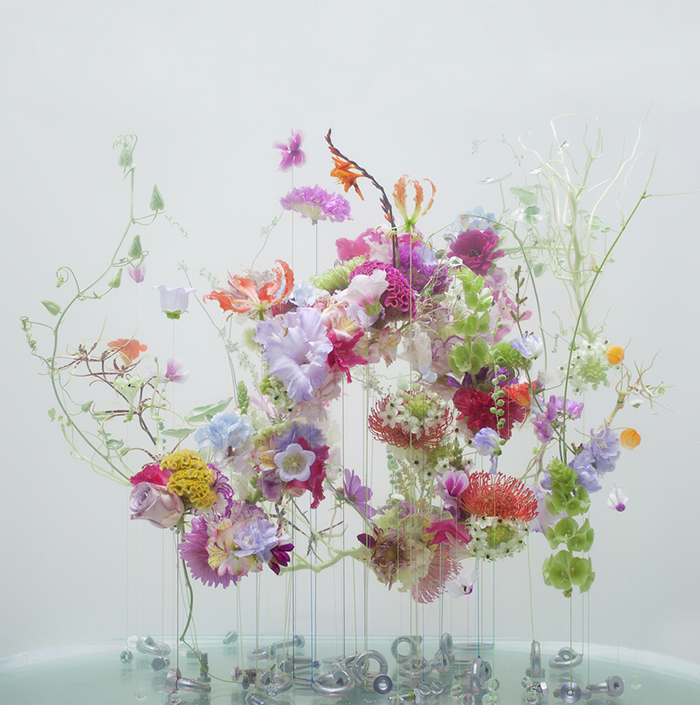 Anne Ten Donkelaar - flowers underwater